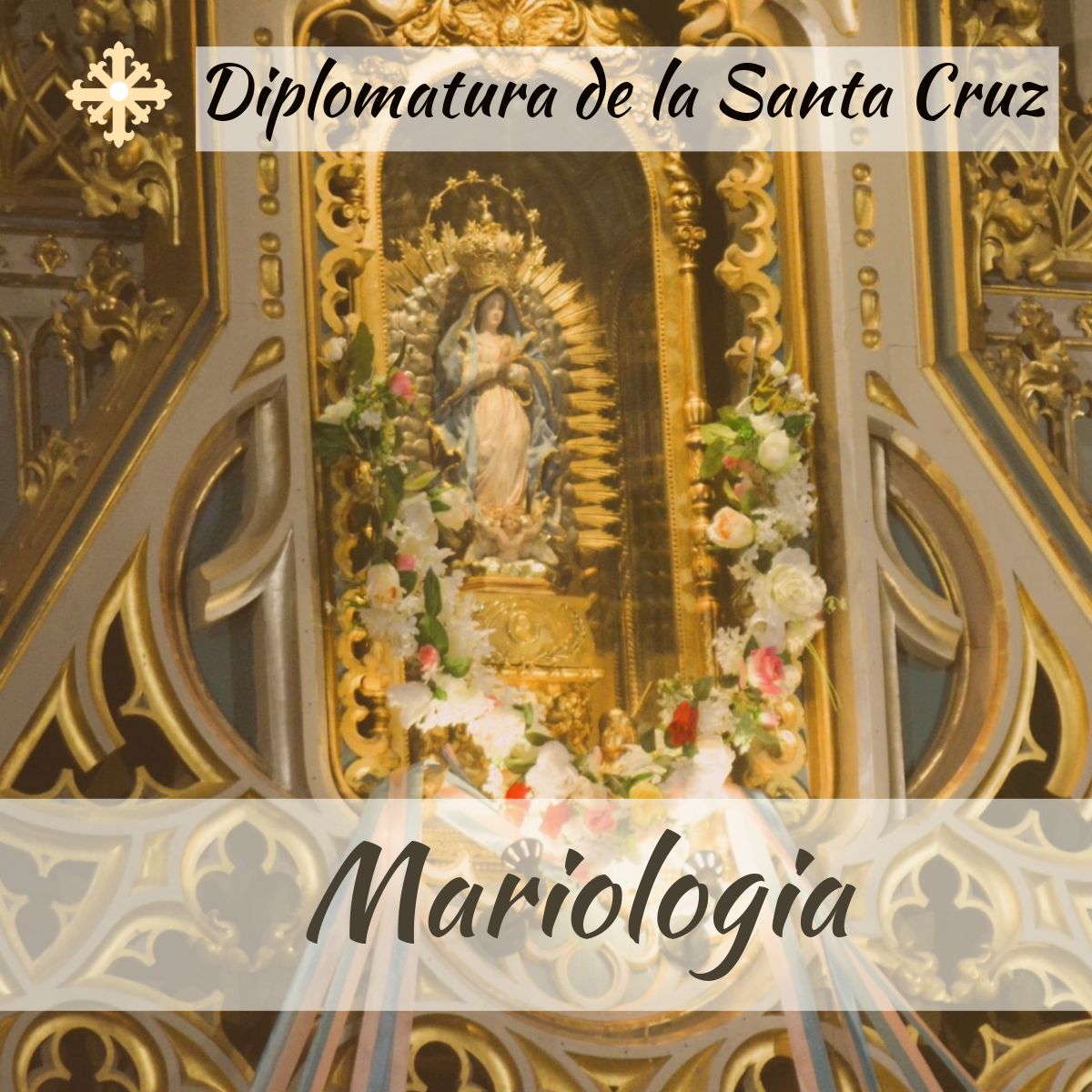 Course Banner